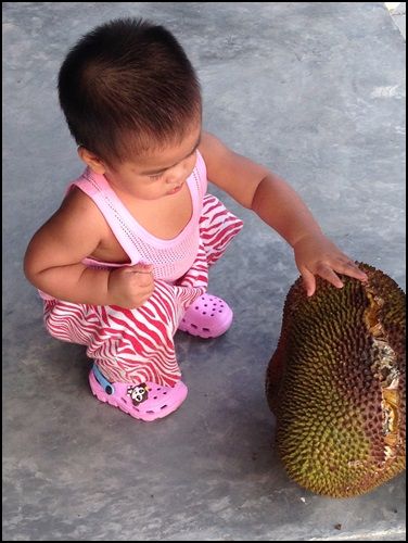 Mr Captain 1 y 1 m กิจกรรมของเด็ก 1 ขวบ