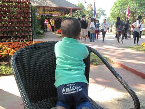Chiang Rai 2014 4