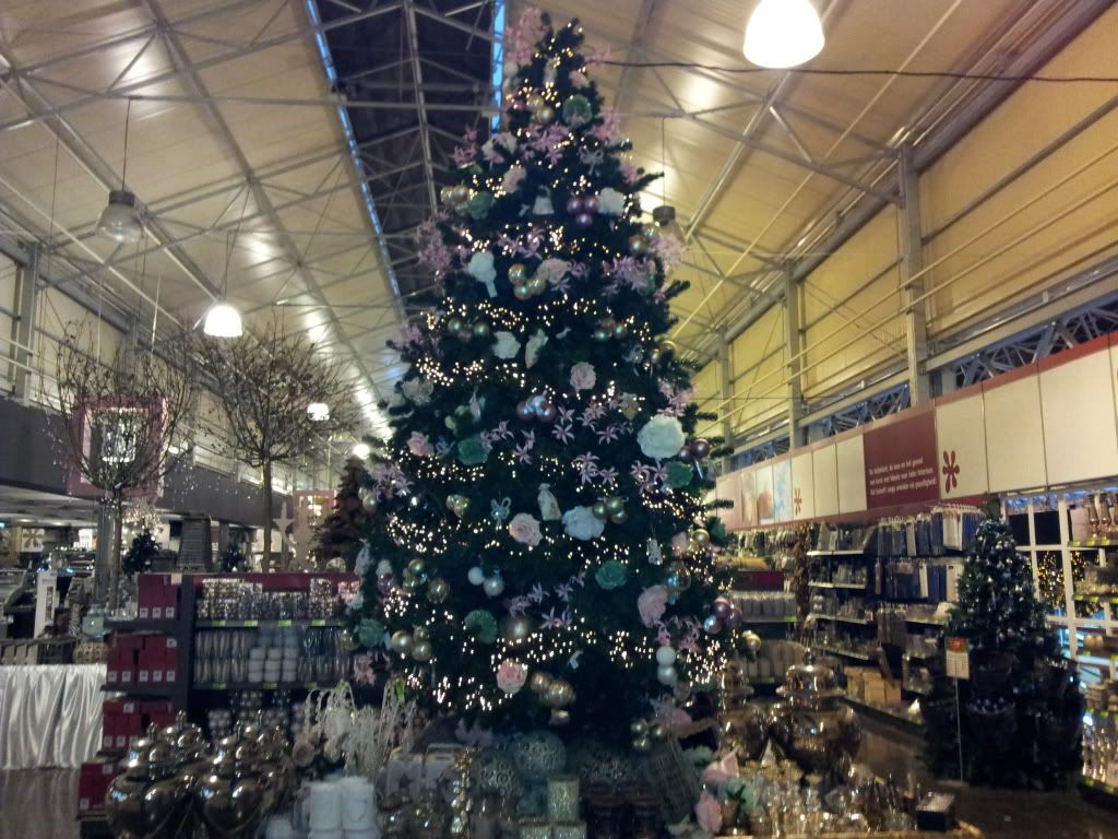 2011-11-17164432.jpg