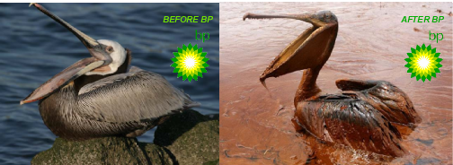 Before and After BP