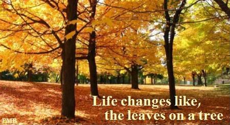 life changes Pictures, Images and Photos