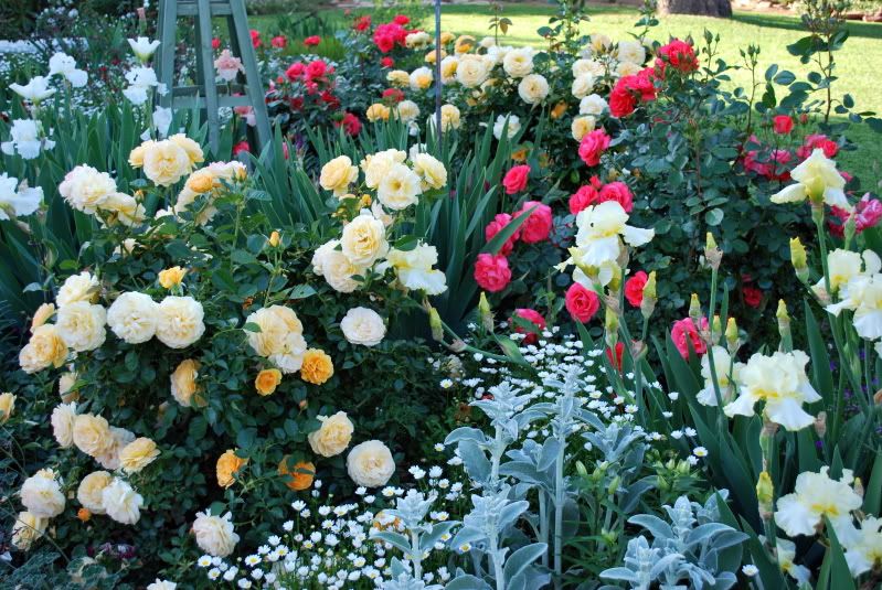 Julia Child and Marmalade Skies