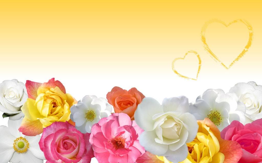 wallpapers yellow. flowers pictures wallpapers.