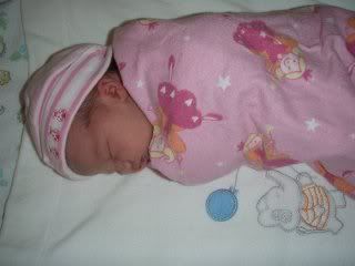 IPB Image