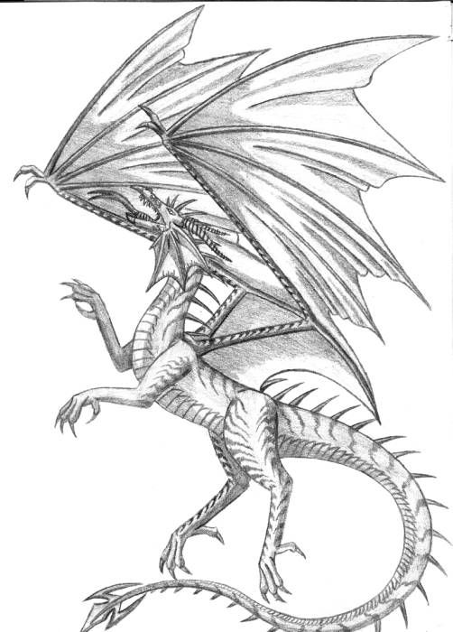 Flying-dragon-sketch-dangerous.jpg Photo By Sudul4 