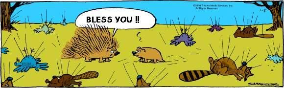 http://i289.photobucket.com/albums/ll228/LuongTam/Funny%20cartoon/porcupine-sneezing-humorous-deadly-quills-funny-animals-cartoon.jpg