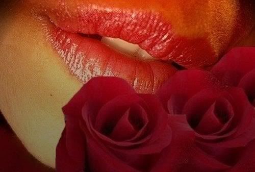 lips like a rose
