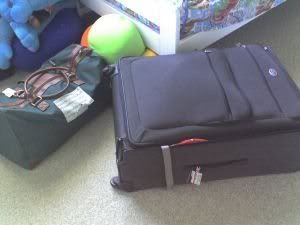 My luggages