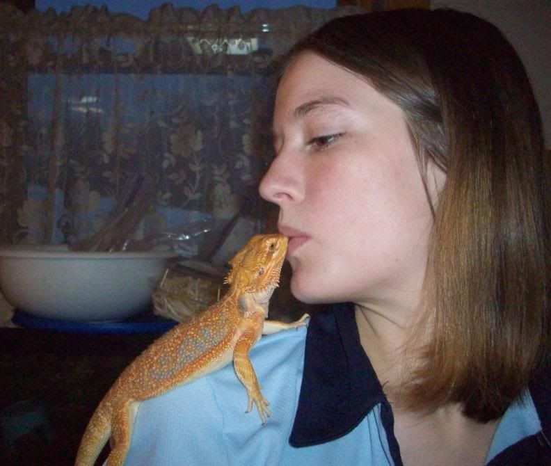Astonishing This Bearded Dragon Defies Expectations - 3a5oo9a