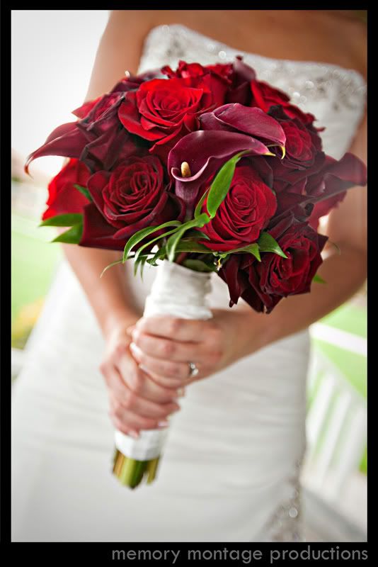 http://i289.photobucket.com/albums/ll230/Memorymp/mmp_0228.jpg?t=1266734850