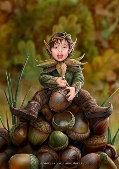 Acorn Pixie Pictures, Images and Photos