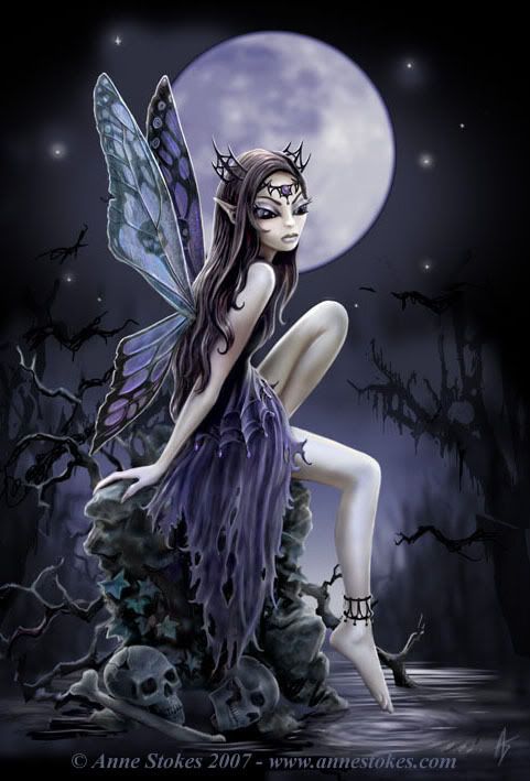 Midnight Fairy Pictures, Images and Photos