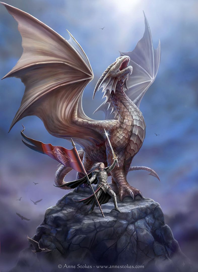 Noble Dragon Pictures, Images and Photos