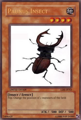 PaunusInsect.jpg