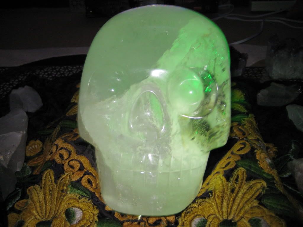 Crystal Skulls Max