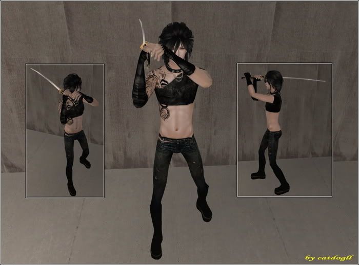 http://i289.photobucket.com/albums/ll234/MissCrs/Gamesir/PoseBox_v10_by_catdogll_3.jpg