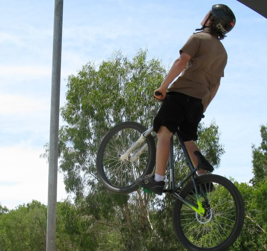 weipaandwhip025.jpg