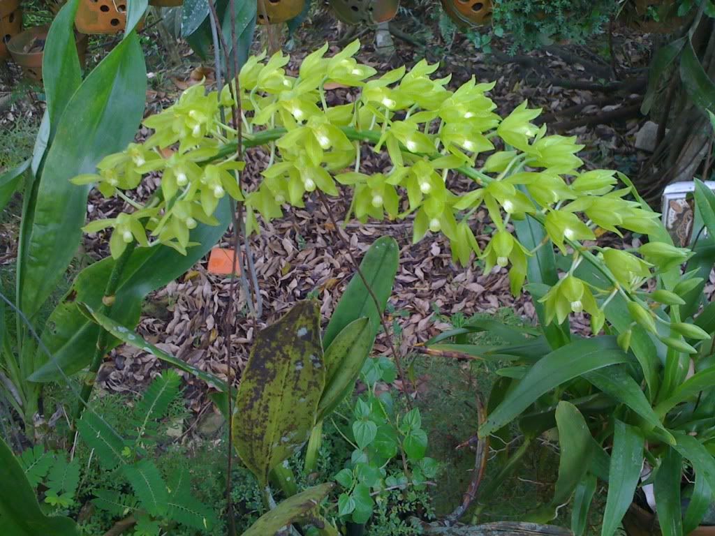 topic về những hình ảnh chụp bằng điện thoại di động