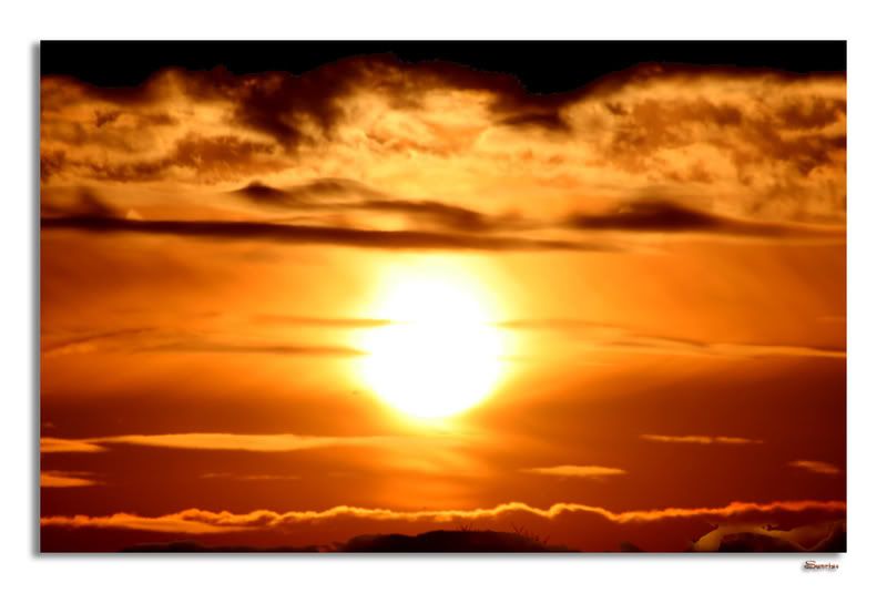 sunrise Pictures, Images and Photos