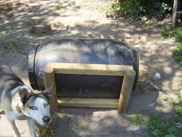 55 gallon drum dog house