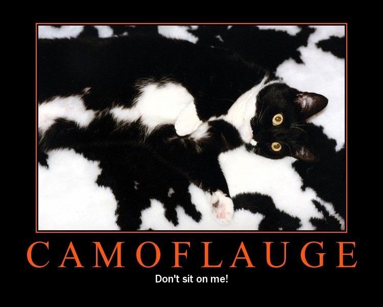 Camoflage2.jpg