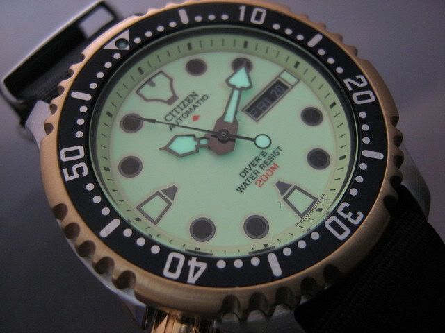 Full discount lume citizen