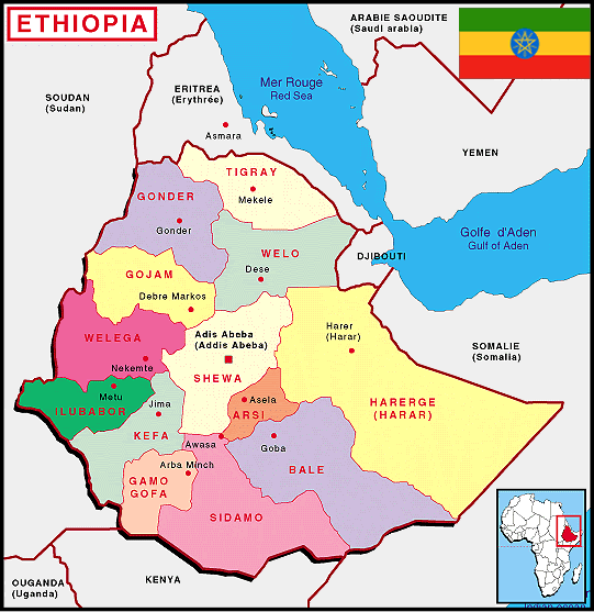 ETHIOPIAN SHEWA CHOCOLATE OPAL~WORLD CLASS SPECIMEN~150CT