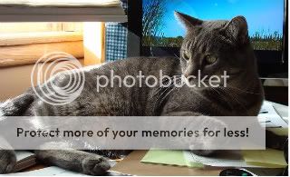 otis.jpg picture by mindi_lynn