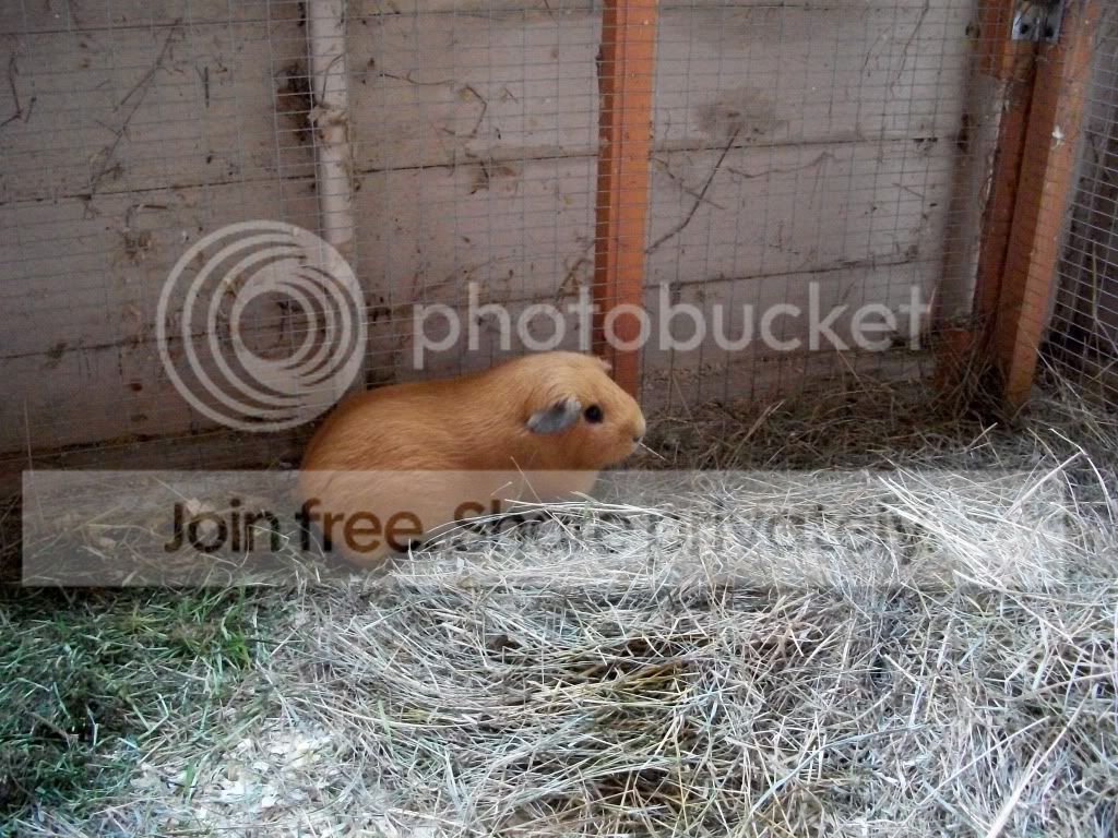 100_0189.jpg