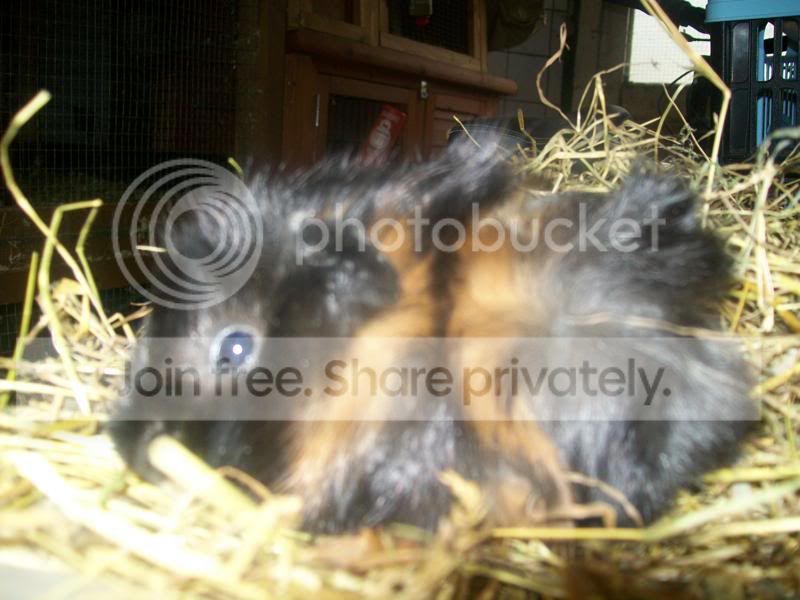 100_1457.jpg