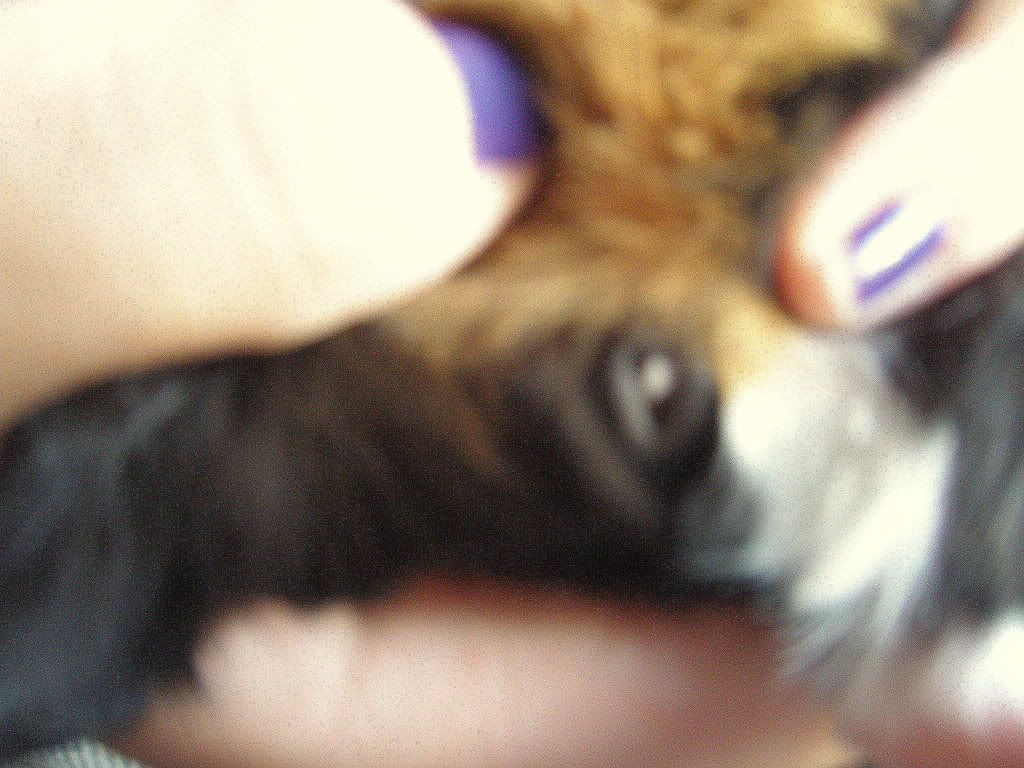 P7250003.jpg