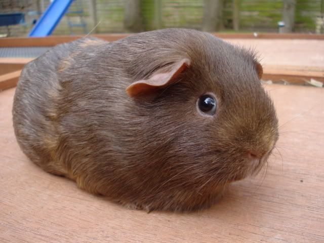 28thfeb09009.jpg