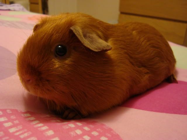 newpics002.jpg