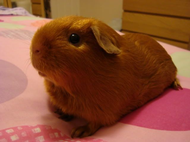newpics004.jpg